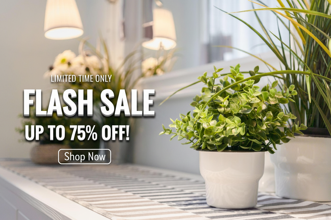 Flash Sale Banner - Plants